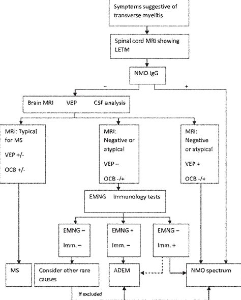 Figure 1 From A Case Of Systemic Lupus Erythematosus Associated With