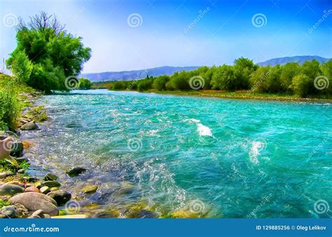 Mountain Wild River Landscape In Sunny Morning Stock Photo Image Of