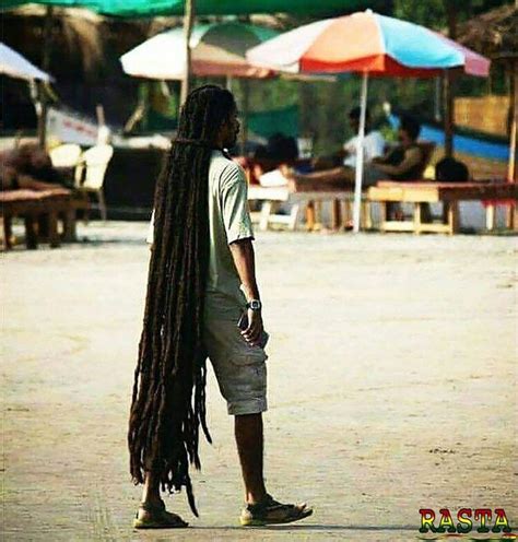 Rasta Dreads Dreadlock Rasta Long Dreads Bob Marley Pictures Afro