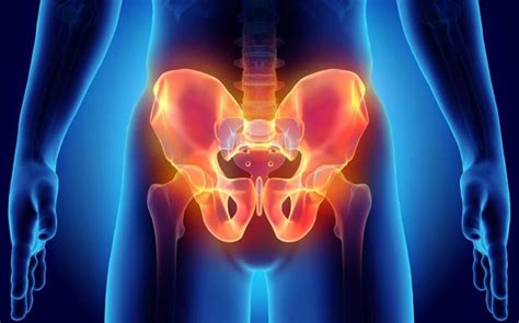 Chronic Pelvic Pain Causes Symptoms And Treatment Fastlyheal