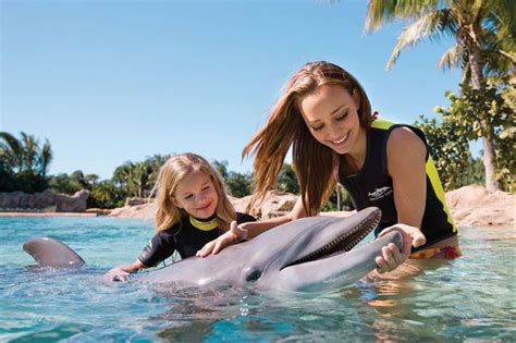 Should Swimming With Dolphins Be Banned In Hawaii The