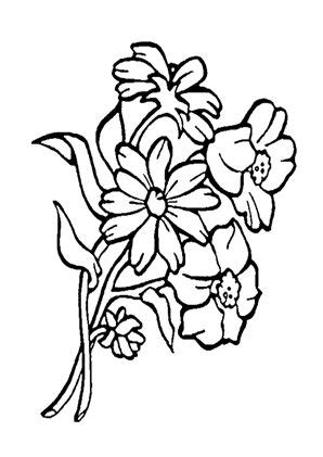 Tabaluga liest ein buch ausmalbild malvorlage sonstiges. Ausmalbild Blumenstrauß zum Ausmalen. #Ausmalbilder | # ...