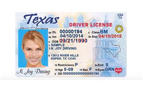 Texas Drivers License Number - thegreenever