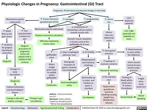 Gastrointestinal Gi Changes During Pregnancy Calgary Guide