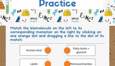 Biomolecules Practice | Interactive Worksheet by ANUM JIWANI | Wizer.me