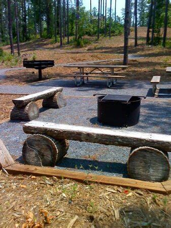 Picnic Grill Area At Adirondack Camping Platforms Picture Of