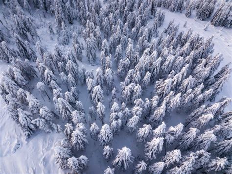 Beautiful Places To Enjoy Winter In The Northern Black Forest Sunset