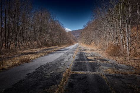 Abandoned Road 1428461836bls Life In A Dying World