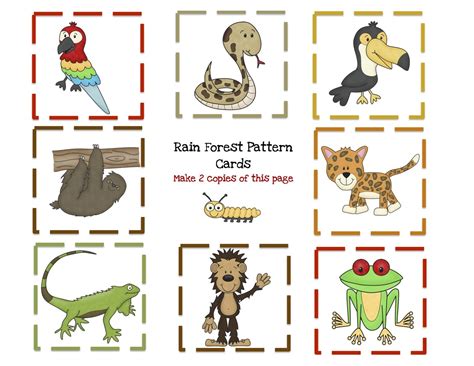 Rainforest Animals List For Kids
