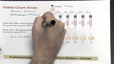 How to calculate cfu serial dilution microbiology technique knowledge of biology. Dilutions - Part 3 of 4 (Calculating Colony Forming Units ...