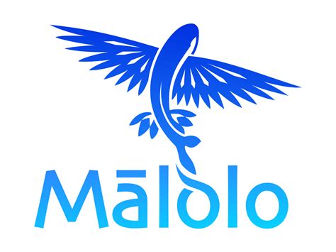 Mālolo Logo Flying Fish By Will Bode On Dribbble