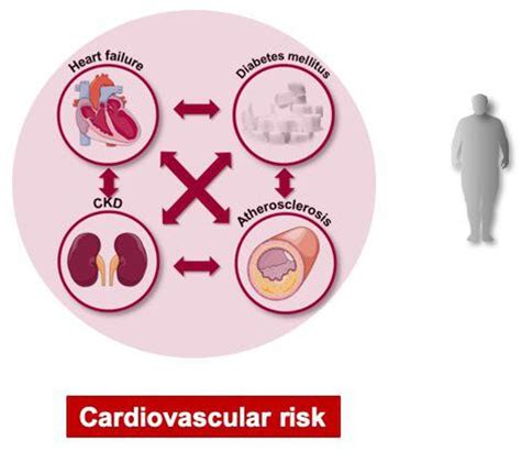 Diabetes And Coronary Artery Disease Not Just A Risk Factor Heart