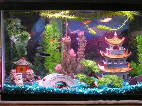 These fish tank decorations will send shivers down your spine. Fish tank Setup | Cool fish tanks, Fish tank themes, Fish ...