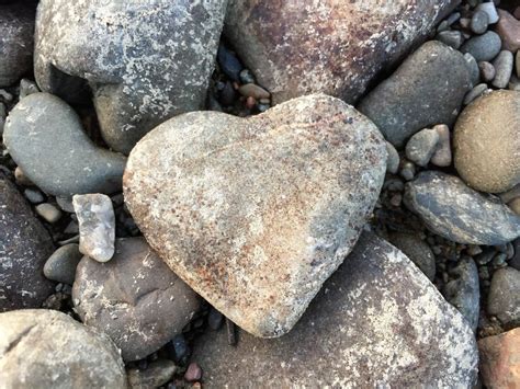 Heart Shaped Stone Lies On Stones Free Image Download