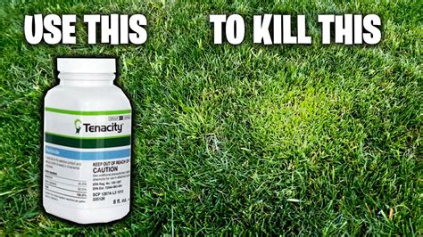 Tenacity Herbicide ~ Pre Post Emergent ~ How To ~ Application Guide