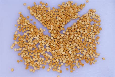 Yellow Color Split Raw Chana Dal Or Chickpeas Lentils Stock Photo