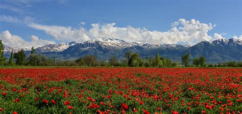 Pictures Turkey Erzincan Munzur Mountain Nature Mountain Fields