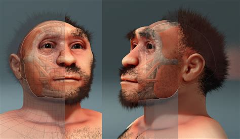 Forensic Facial Reconstruction Of Homo Erectus Pekinensis Facial