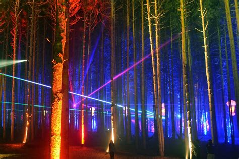 Electric Forest Image Sfx