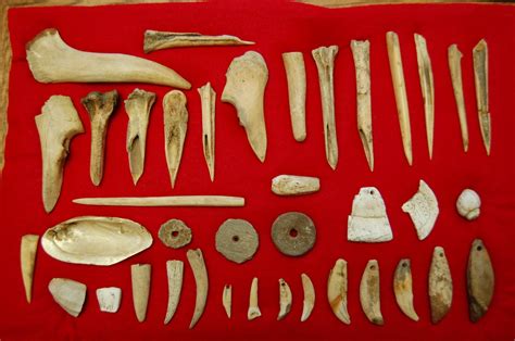 Fort Ancient Bone Shell Teeth And Pottery Artifacts From Kentucky