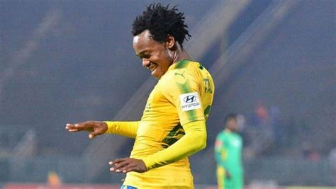 Brighton and hove albion striker percy tau during a training session. Percy Tau's move to Anderlecht confirmed - SABC News ...
