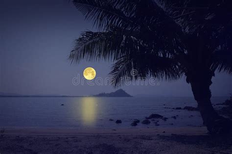 Romantic Moonlight Beach