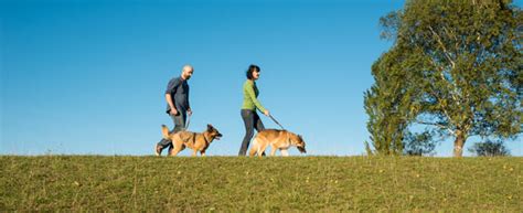 Im gegensatz zur frau kommt der hund nicht in die wechseljahre. Wann ist ein Hundeführerschein notwendig? ⋆ Hunde