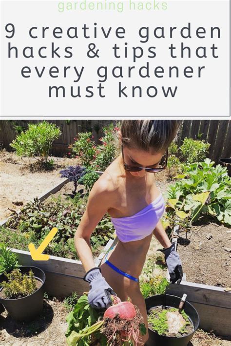 9 diy garden hacks and tips that every gardener should know