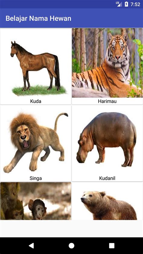 Poster Nama Nama Hewan - semua tentang informasi poster