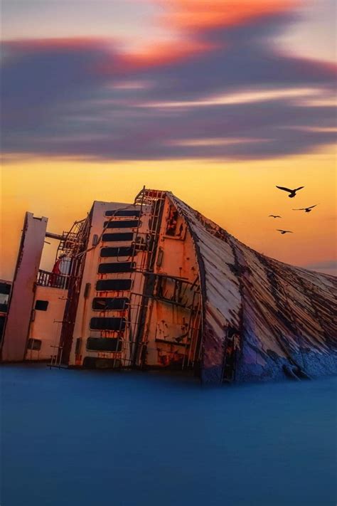 Shipwreck Birds Sea Dusk 750x1334 Iphone 8766s Wallpaper