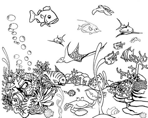 Tropical Fish Tank Coloring Page - NetArt