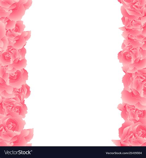 Pink Carnation Flower Border Royalty Free Vector Image