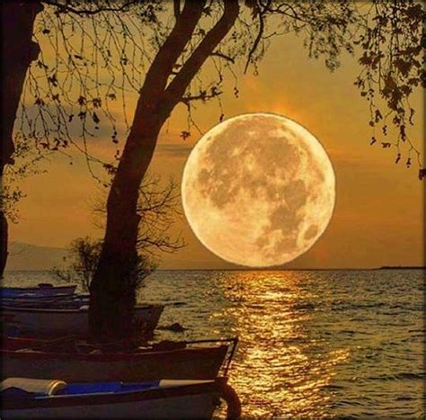 Beautiful night picture of moon. Pin on 月