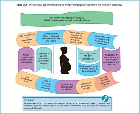 The Antenatal Appointment Physical And Psychological Assessment Of The
