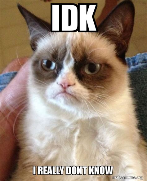 Idk I Really Dont Know Grumpy Cat Make A Meme