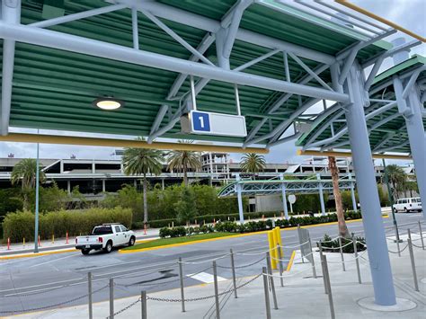 TikTok's Trending Orlando Bus Throw: What Happened?