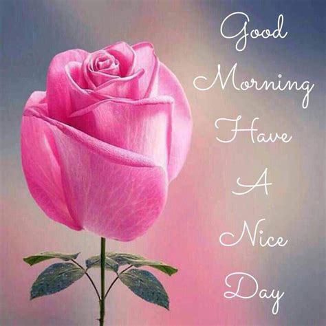 Love Good Morning Flowers With Messages 10 Inspiring Good Morning