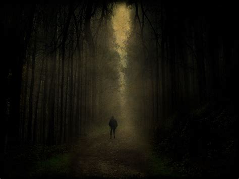 A Person Walking Down A Dark Path In The Middle Of A Forest With Trees