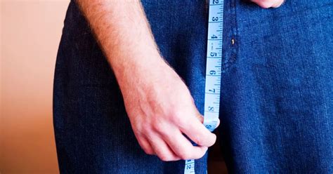 Does Size Matter Penis Facts Including Average Length Daily Star