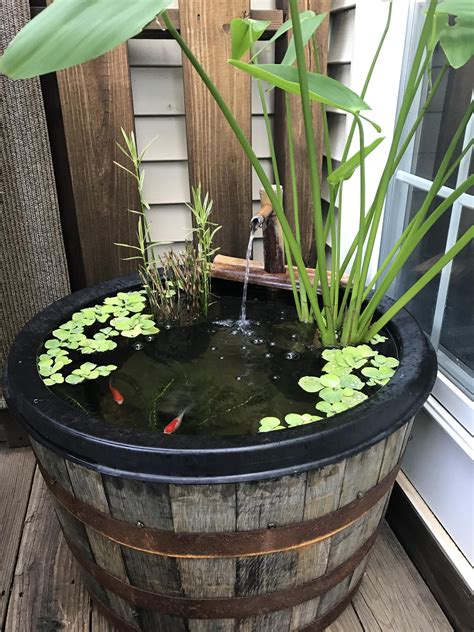 How To Build A Small Garden Fish Pond