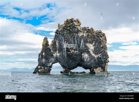 Hvitserkur A Rock Formation In The Sea At The Northern Coast Of