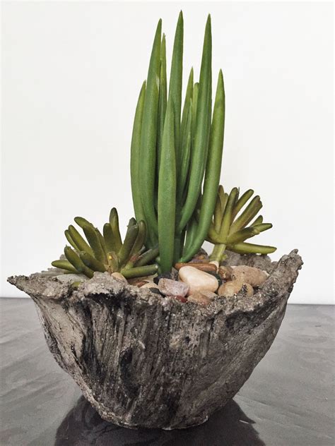 Droll euphorbia obesa is a spherical succulent plant with subtle herringbone stripes. Spiked Succulent Driftwood Bowl | Succulents, Planting ...