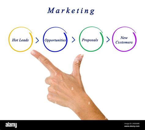 Diagram Of Marketing Stock Photo Alamy