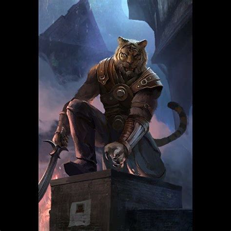 Male Catfolk Tabaxi Leather Armor Sword Fighter Rogue Pathfinder