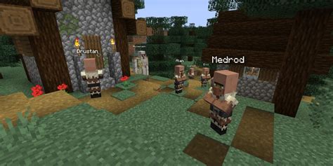 Villager Names Minecraft Data Pack