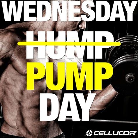 60 Funniest Hump Day Memes To Survive Wednesdays Workout Humor