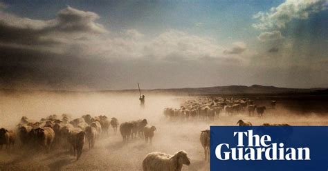 Getty Images Instagram Grant In Pictures Art And Design The Guardian