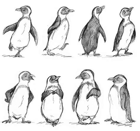 892 Popular Penguin Sketch To Draw For Collection Art Sketch Figure