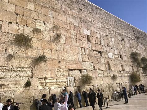 The Kotel Western Wall In Jerusalem Photograph By Eliyahu Shear