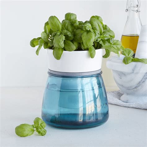 Self Watering Kitchen Herb Pot Indoor Herb Planter Herb Container